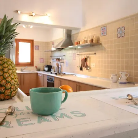 Marquesa Mb By Carlosferien